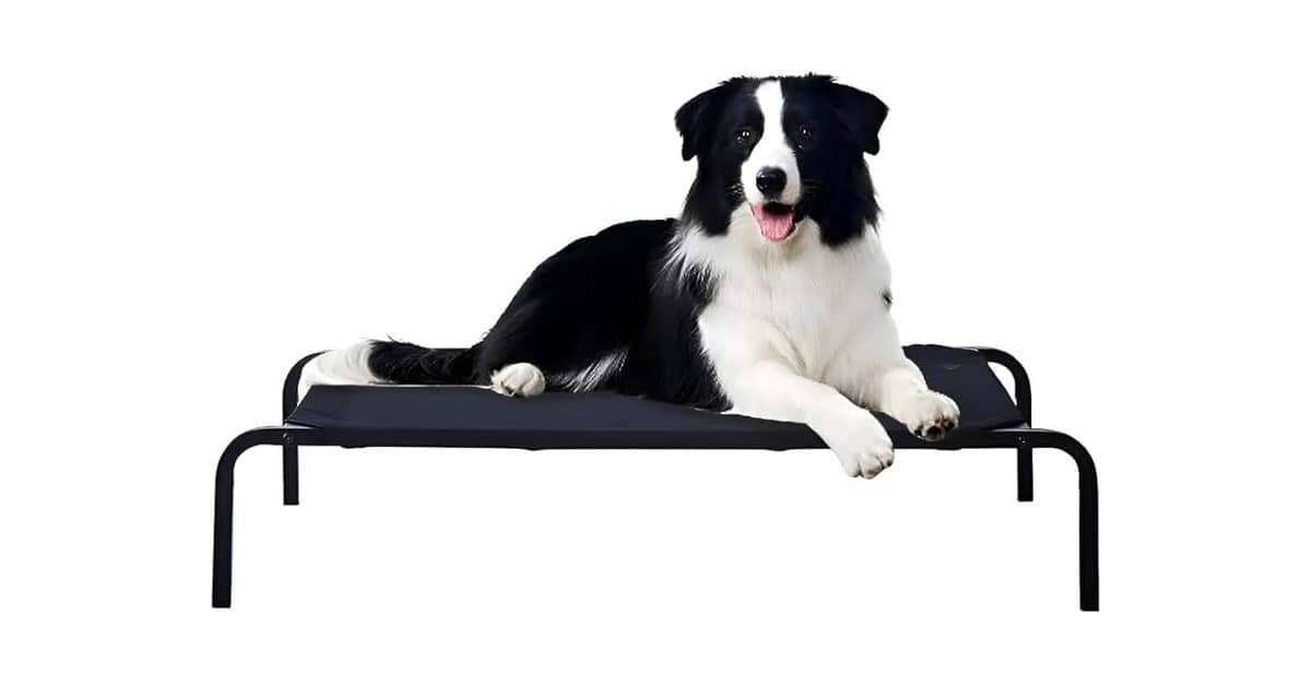 Melhor Tipo de Cama para Cachorro: Conforto e Suporte