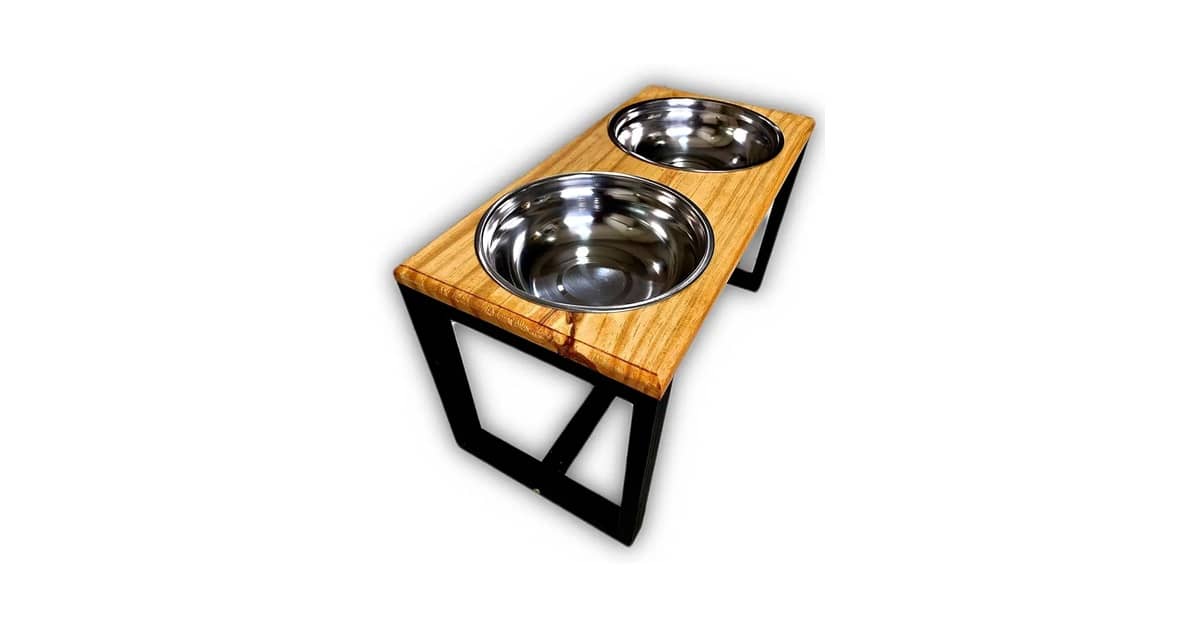 Melhor Tipo de Comedouro para Cachorro: Escolha Ideal!