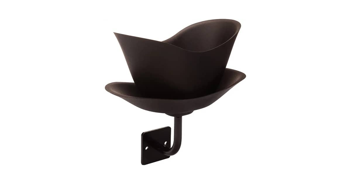 Melhor Tipo de Vaso para Zamioculca: Guia Essencial