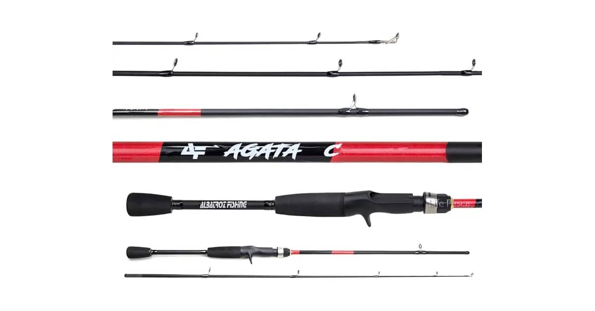 Melhor Vara de Pesca para Carretilha: Guia Completo de Compra