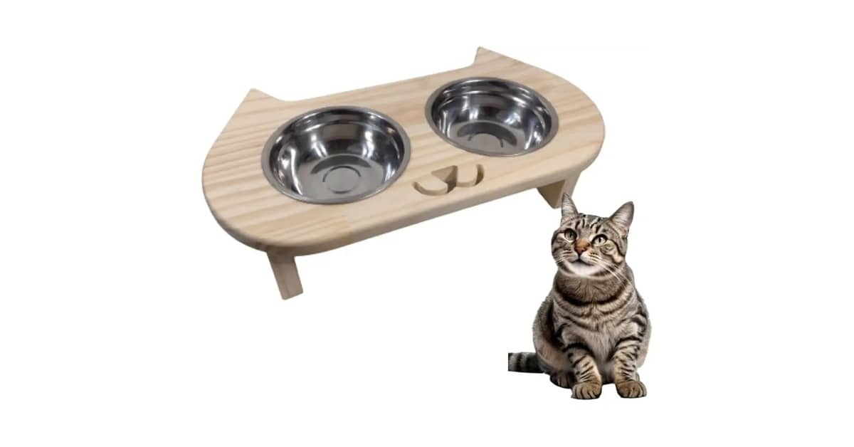 Melhor Vasilha Para Gato: Qual Modelo Garante Saúde?