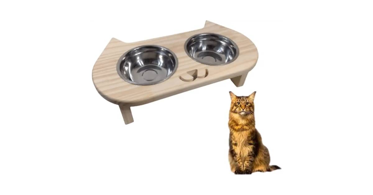 Melhor Vasilha para Gatos: Guia Essencial