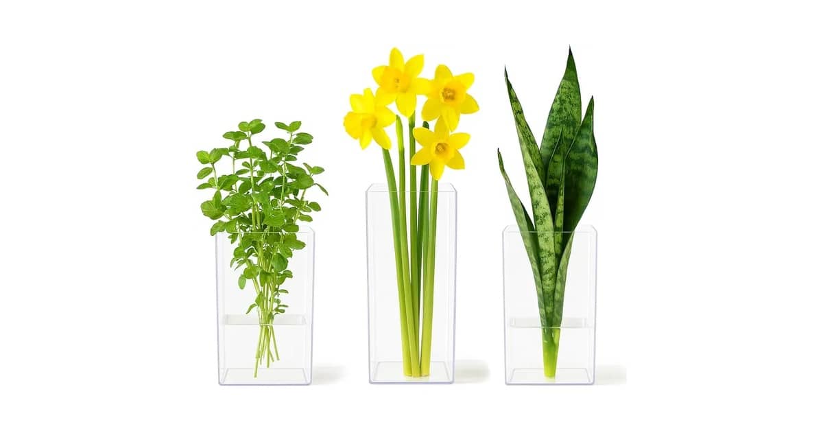 Melhor Vaso para Flor de Cera: Guia de Estilos