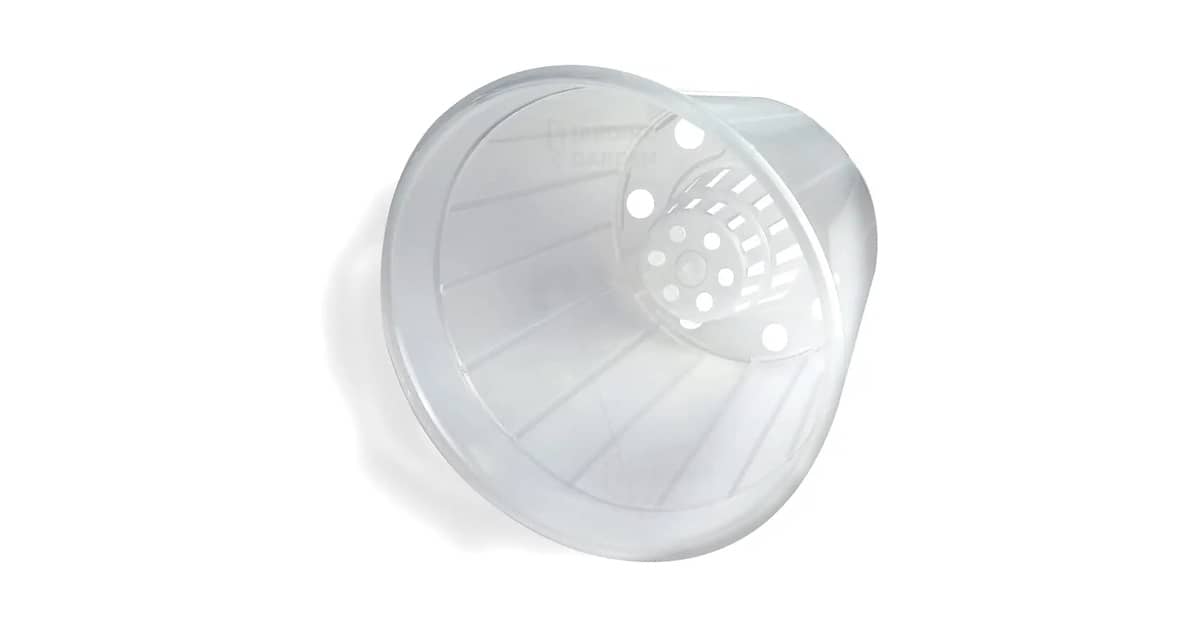 Melhor Vaso para Orquidea Cattleya: Guia de Compra Essencial