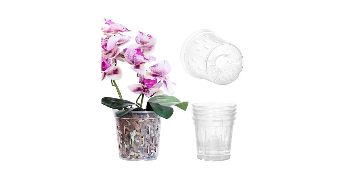 Melhor Vaso para Orquídea Oncidium: O Guia Essencial