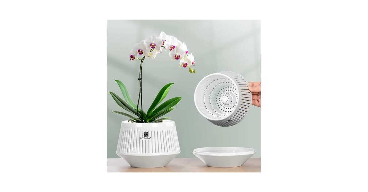 Melhor Vaso para Orquídeas Vanda: Guia Essencial