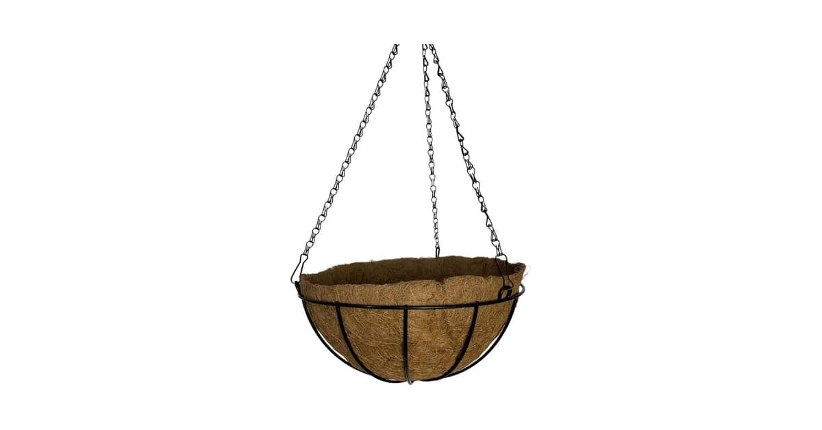 Melhor Vaso para Plantar Samambaia: Guia Completo