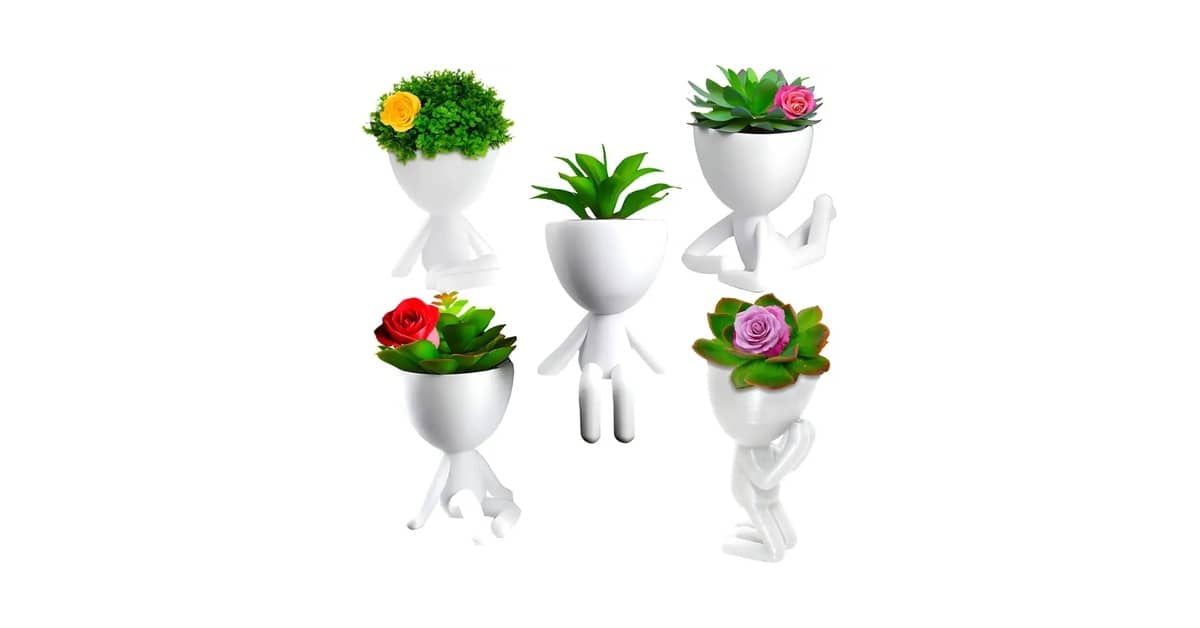 Melhor Vaso para Plantar Suculentas: 7 Opções Charmosas
