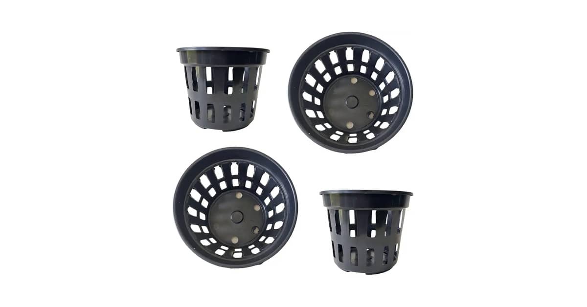 Melhor Vaso para Plantar Zamioculca: Drenagem e Estilo
