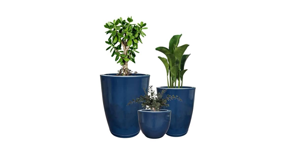 Melhor Vaso para Plantas: Guia Essencial para Decorar Seus Ambientes
