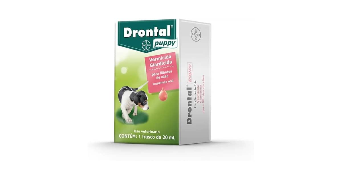 Melhor Vermífugo Cachorro Filhote: Qual o Ideal?