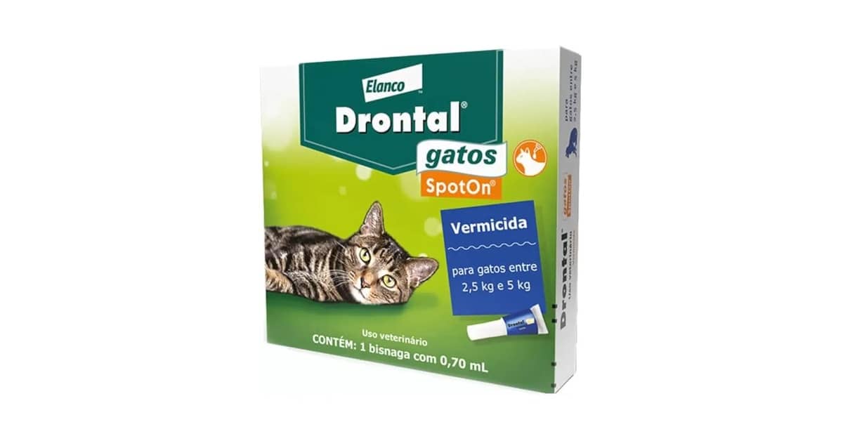 Melhor Vermifugo Para Gato: Pipeta ou Comprimido?