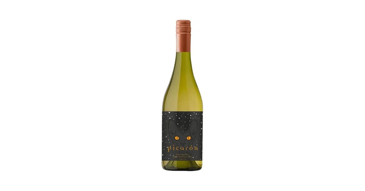 Melhor Vinho Chileno Valor: 10 Rótulos Incríveis
