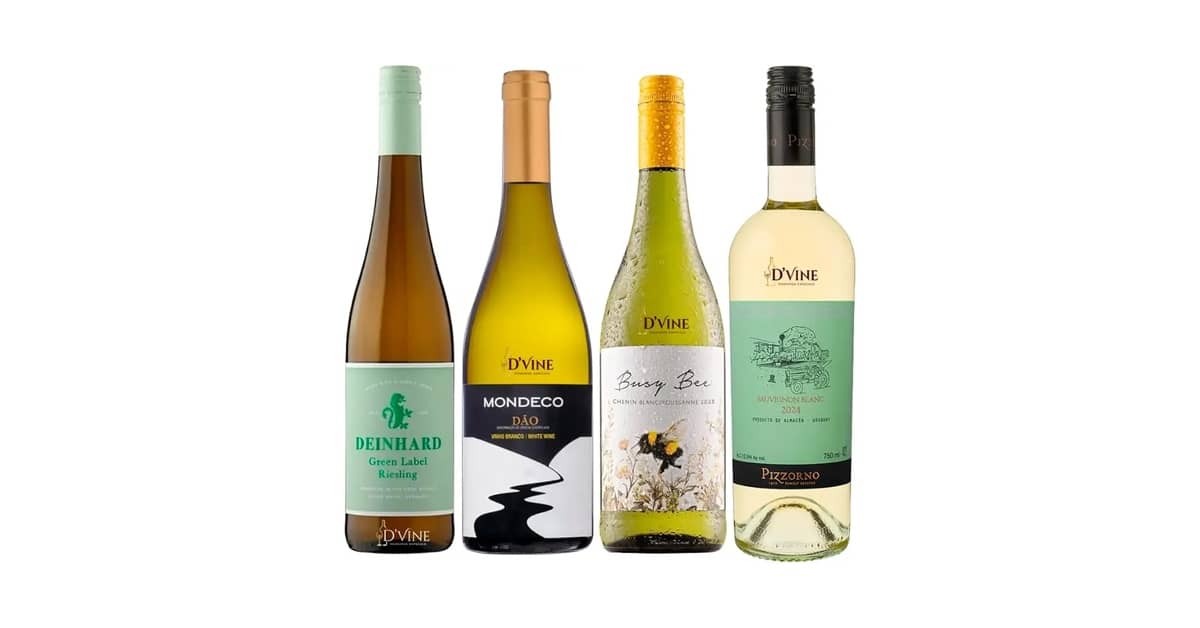 Melhor Vinho do Mundo Barato: Descubra Sabores Incríveis!