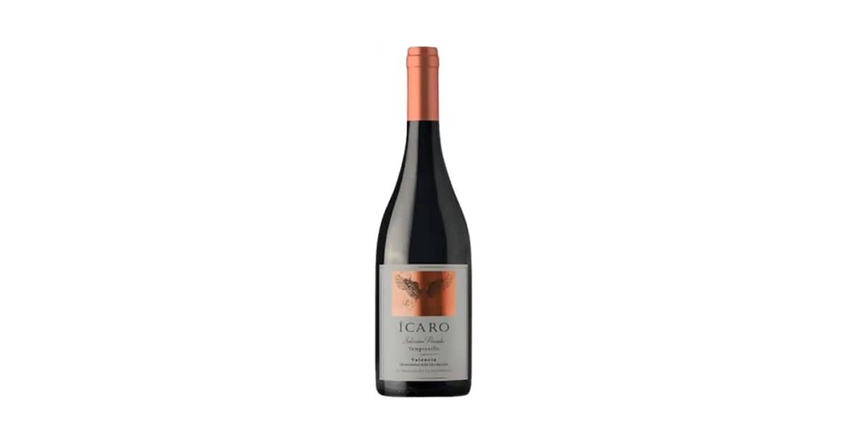 Melhor Vinho Tempranillo: Guia de Estilos e Países