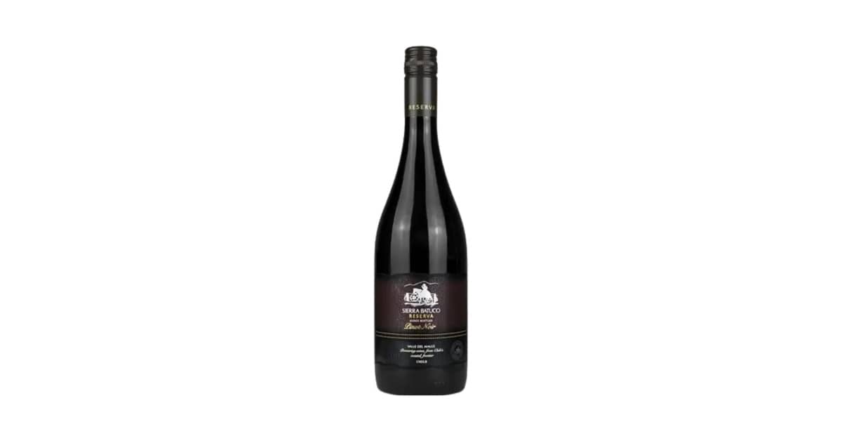 Melhor Vinho Tinto Pinot Noir: Guia de Sabores e Origens