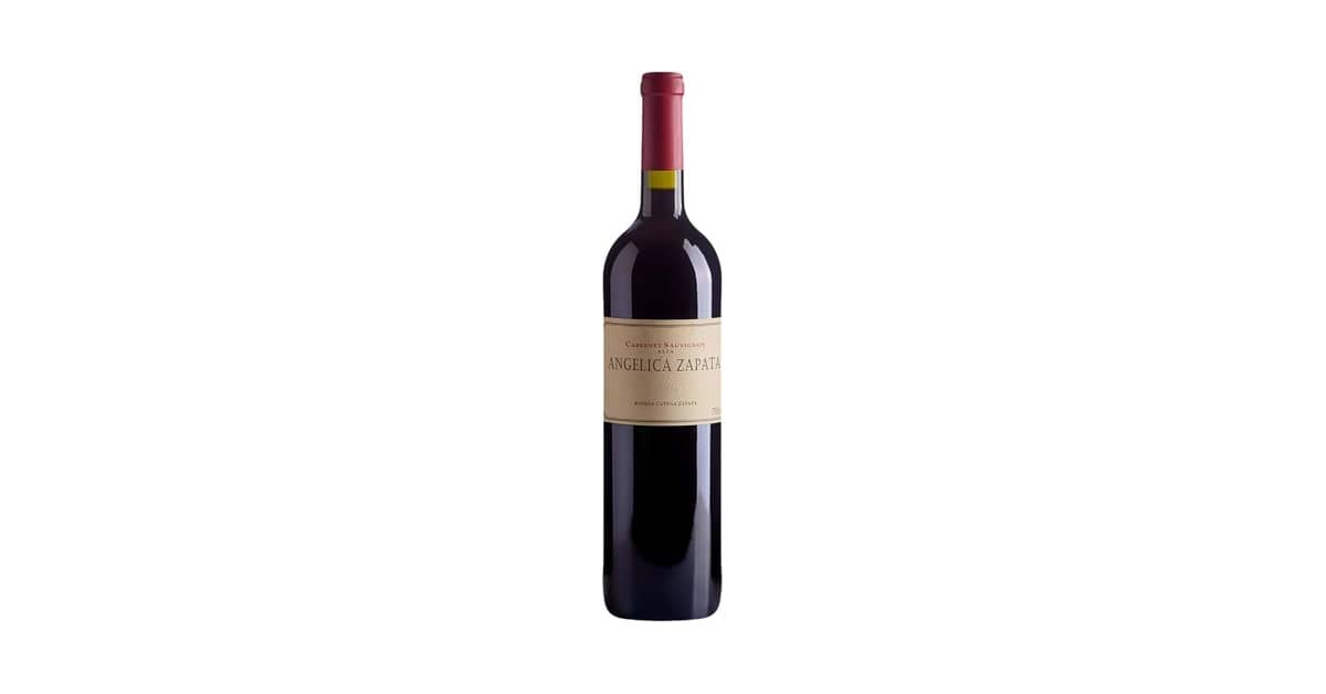 Melhor Vinho Tinto Seco Argentino: Guia de Sabores Únicos