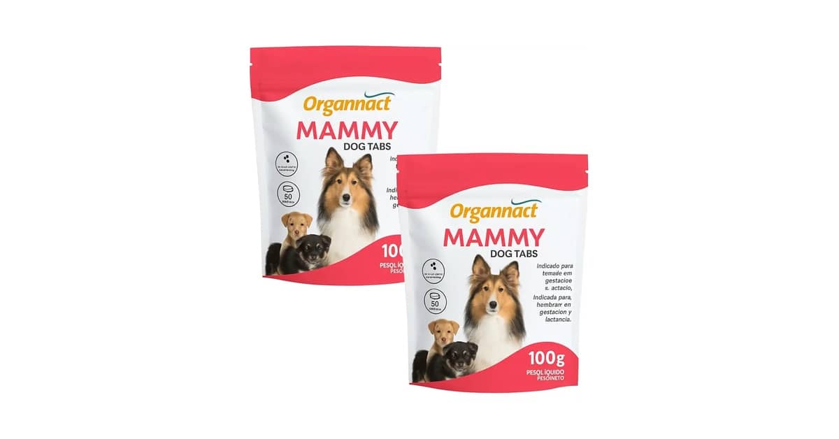 Melhor Vitamina para Cadela Gestante: Nutrição Essencial