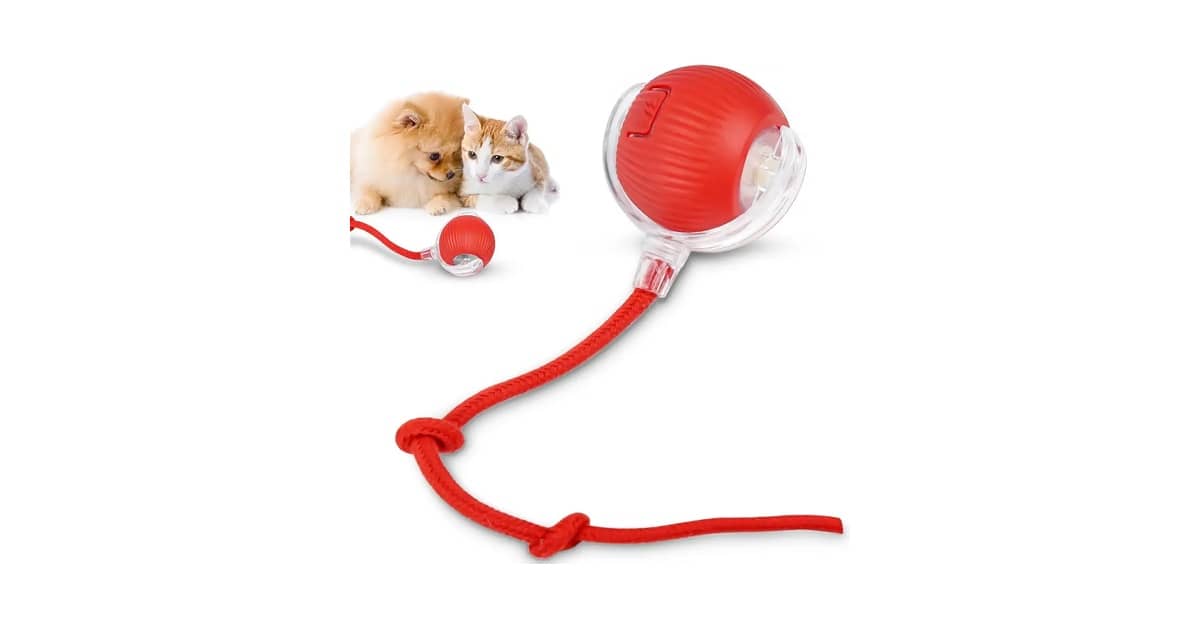 Melhores Brinquedos Interativos Para Gatos: 10 Opções