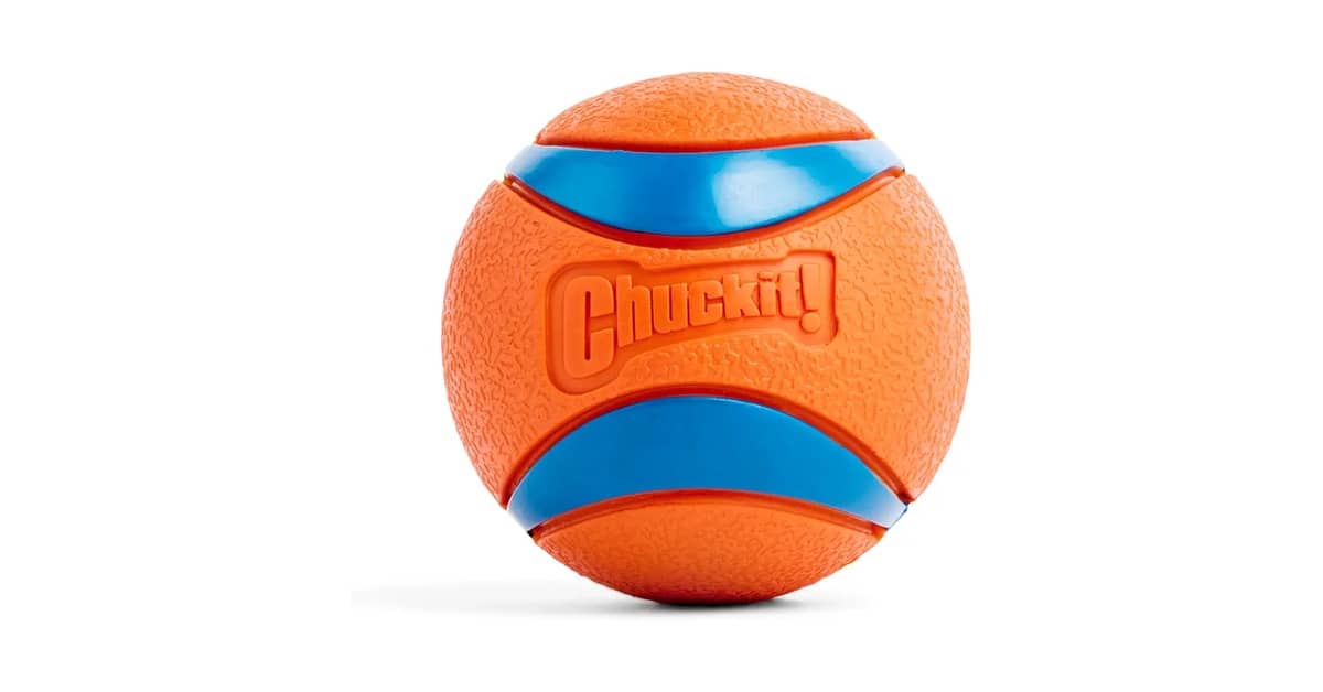 Melhores Brinquedos para Cachorro Grande: Desafie Seu Cão!