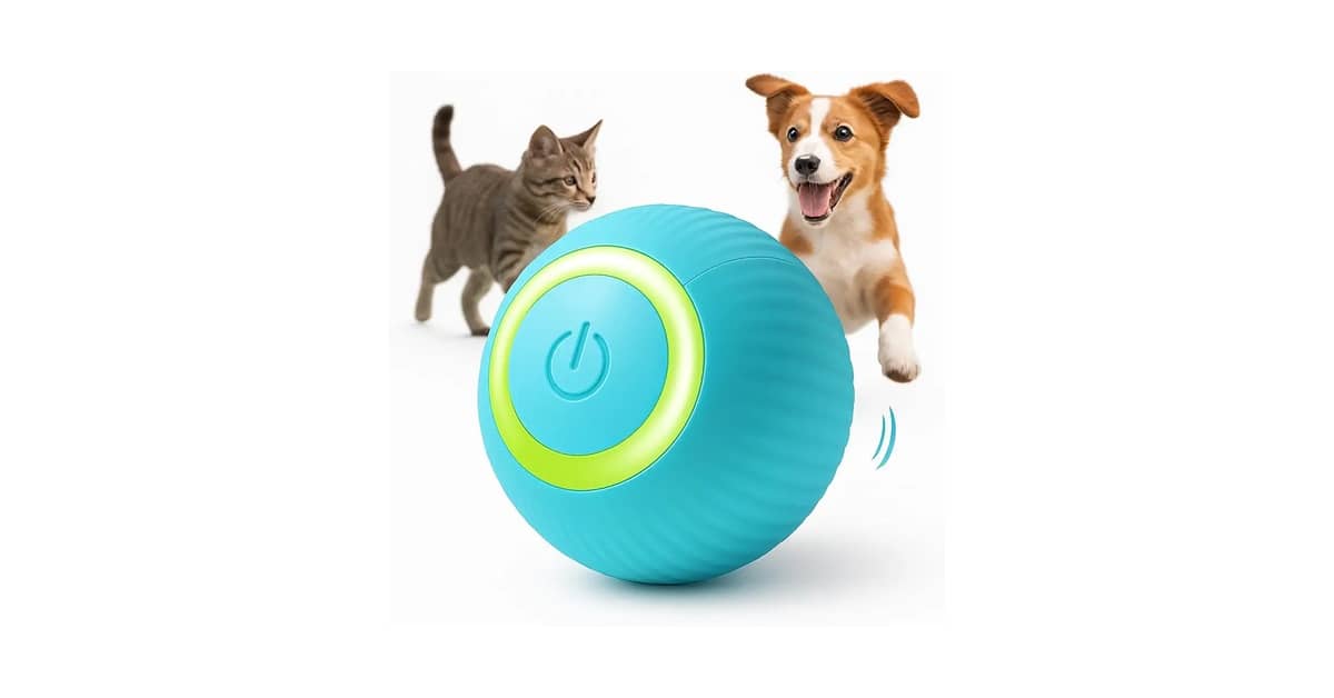Melhores Brinquedos Para Cachorros Que Ficam Sozinhos