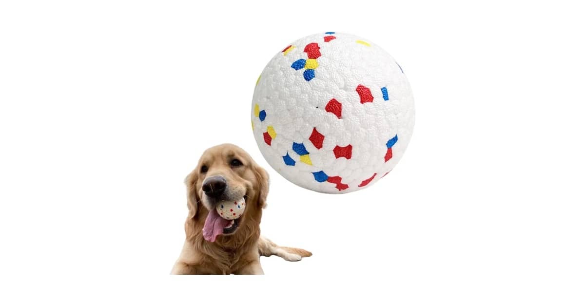 Melhores Brinquedos Para Cães Destruidores: 10 Opções à Prova de Mordidas