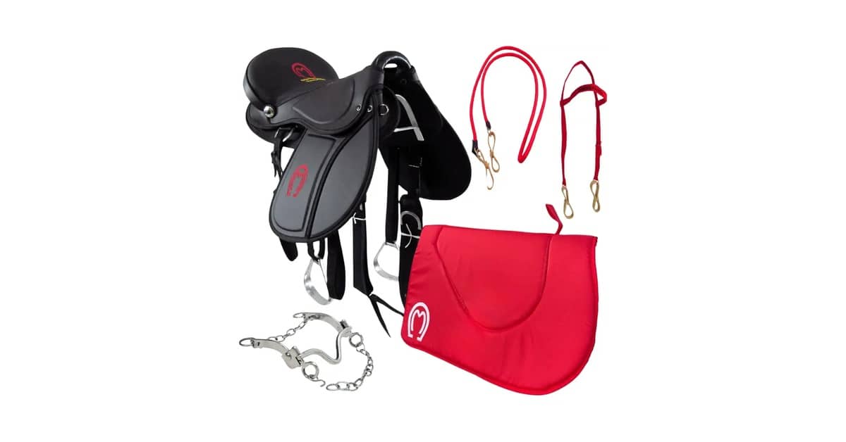 Melhores Marcas de Selas Para Cavalos: Como Escolher?