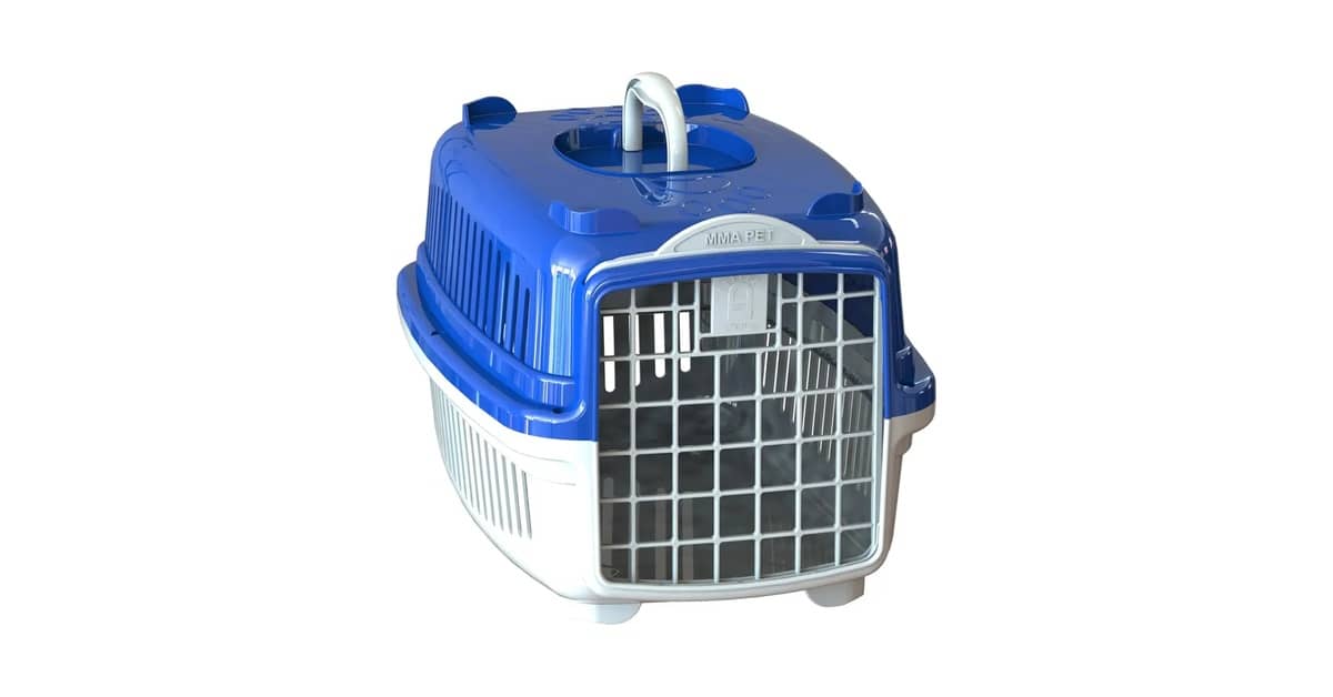 Qual a Melhor Caixa de Transporte para Gatos Para Viagens Seguras?