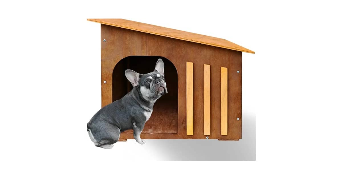 Qual a Melhor Casinha de Cachorro Madeira ou Plástico?