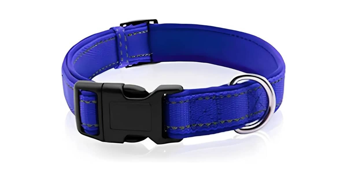 Qual a Melhor Coleira Cobasi: 10 Modelos para Proteção