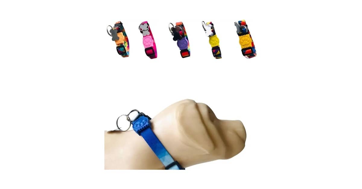 Qual a Melhor Coleira de Identificação: 10 Opções Seguras