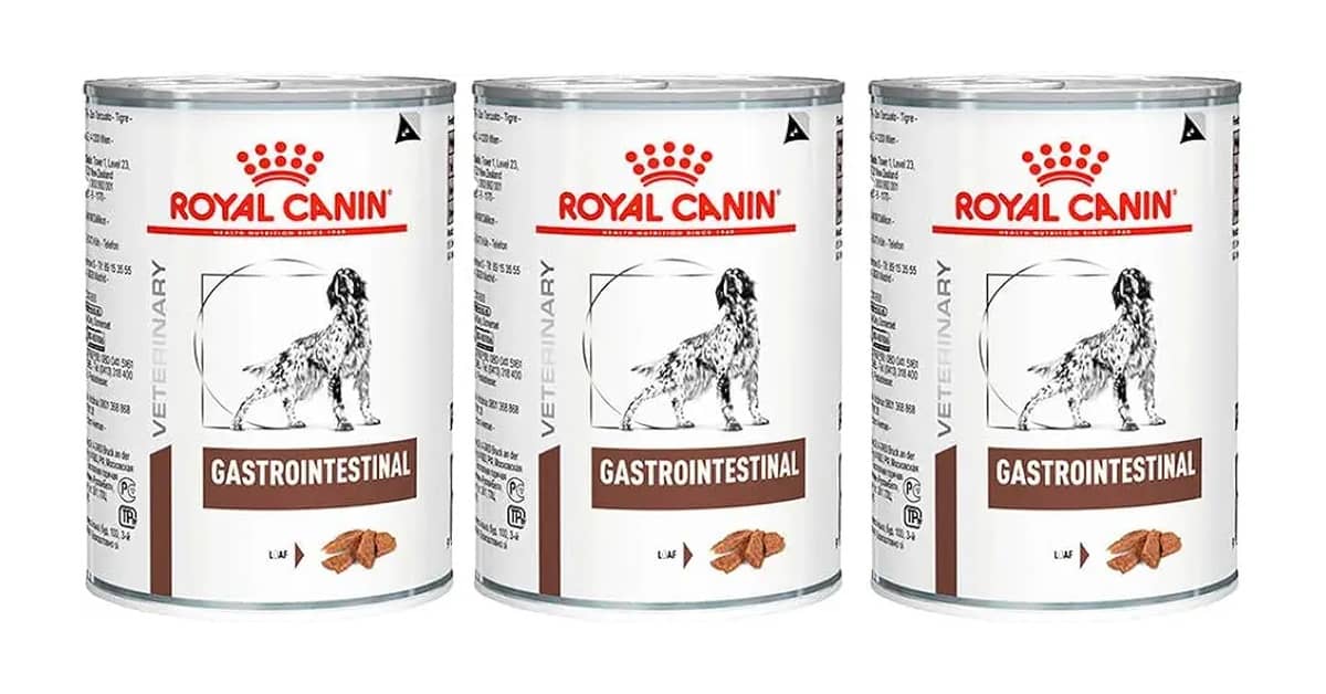 Qual a Melhor Marca de Ração para Cachorro Vira Lata? Guia Completo