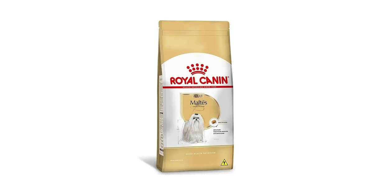 Qual a Melhor Ração para Maltês Lágrima Ácida? O Guia
