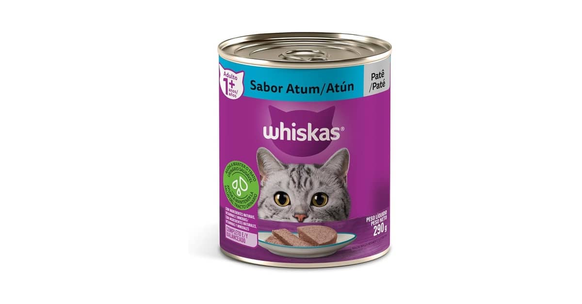 Qual Melhor Atum em Lata para Patê? Texturas Ideais