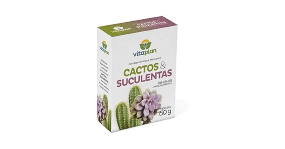 Qual o Melhor Fertilizante para Cactos e Suculentas? Guia de Compra