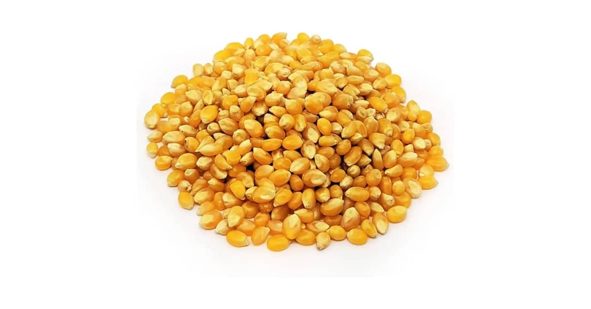 Qual o Melhor Milho de Pipoca Nacional? 10 Marcas