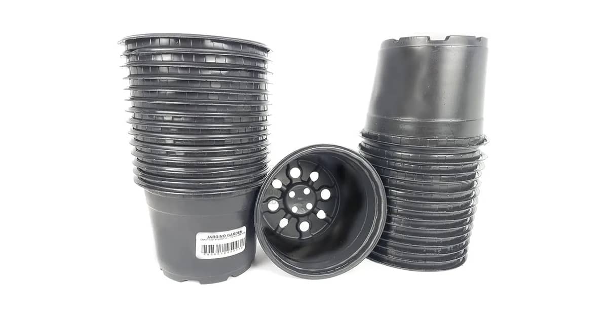 Qual o Tamanho de Vaso Ideal para Suculentas? Guia