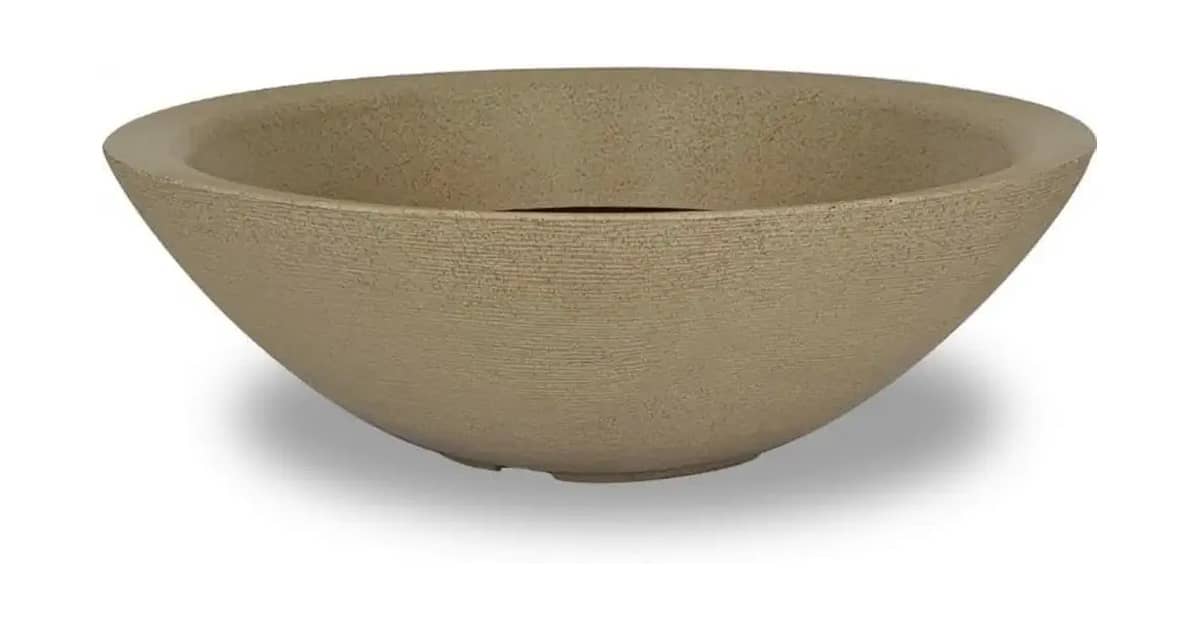 Qual o Tamanho Ideal de Vaso Para Rosa do Deserto?