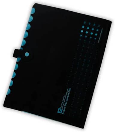 Pasta Sanfonada Catalogo A4 com 5 Divisórias Organizador de Documentos Neon Escritorio Escola Arquivo Papel Sulfite (Azul)