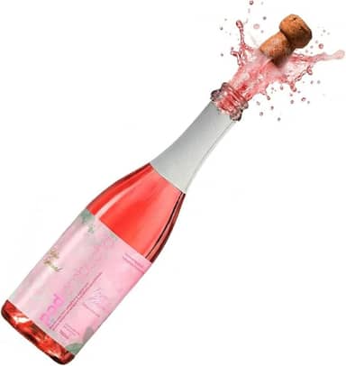 Pod Kombucha 750ml Cereja e Framboesa