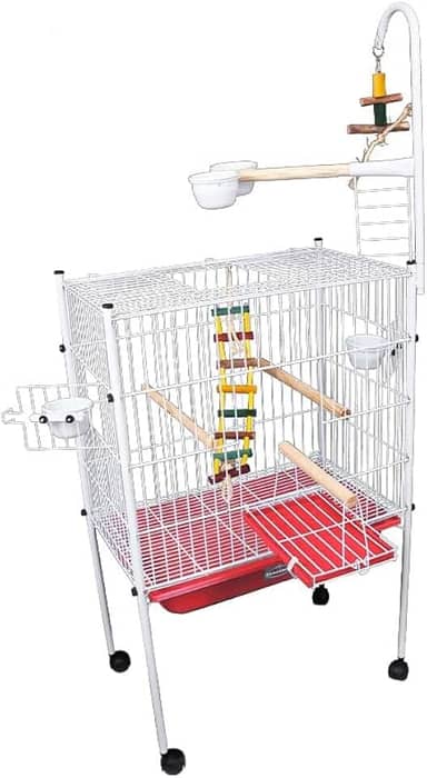 Viveiro de Arame Papagaio Gaiola Grande Escadinha