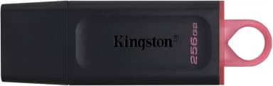 Pen Drive Kingston DataTraveler Exodia 256GB DTX/256GB