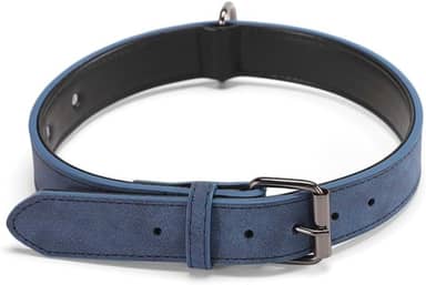 Coleira Ajustável Com Dupla Espessura Reforçada Confortável Para Cachorro Grande Médio Pequeno Porte(Azul,P (1,5cm))