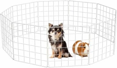 Cercadinho Pet Dobrável Móvel Articulado Cachorro Pequeno Porte Filhote Porquinho da Índia 10 Telas 30cm de Altura Branco