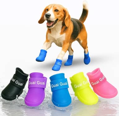 Sapato Botinha De Silicone Para Cachorro Antiderrapante Protetor De Patas (Macho, M)
