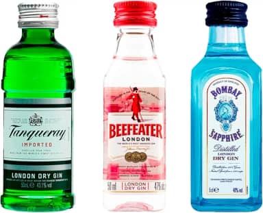 WebBar, Kit Miniaturas Clássicas Gin Lovers