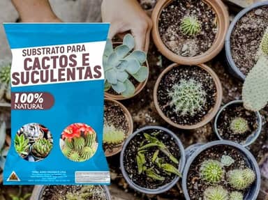 Substrato para Cactos e Suculentas 4kgs – Crescimento Saudável e Drenagem Perfeita!
