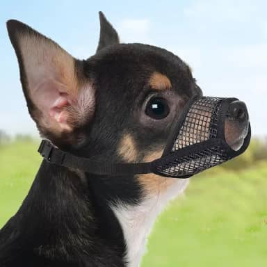 Focinheira ajustável para cães para controle de mordida - design de malha macia permite respirar e beber, tamanho pequeno em preto