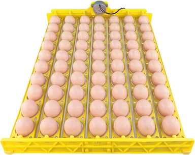 Jiawu Bandeja automática para virar ovos, mini chocadeira com motor, 70 ovos, bandeja para virar ovos, ferramenta para chocar ovos de galinha, pato, codorna