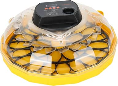 Incubadora de ovos, chocadeira de galinha, janela transparente, multiuso, incubadora de aves, máquina de chocar aves para pato, codorna, ganso,